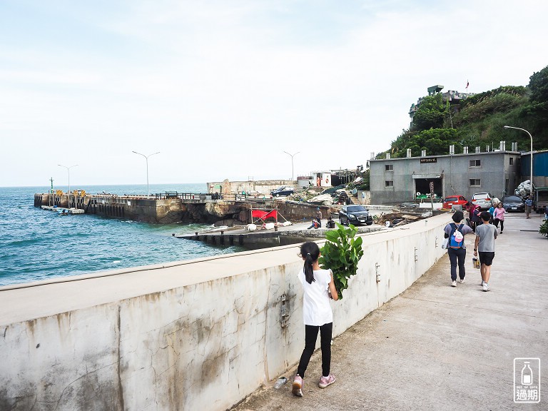 大坵島梅花鹿