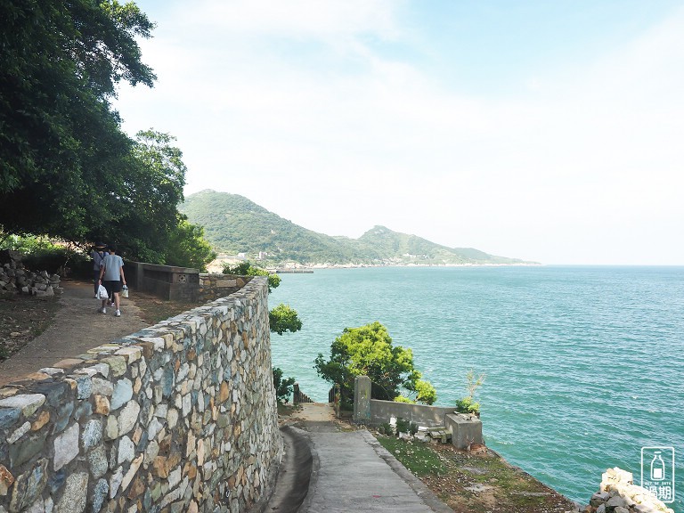 大坵島梅花鹿