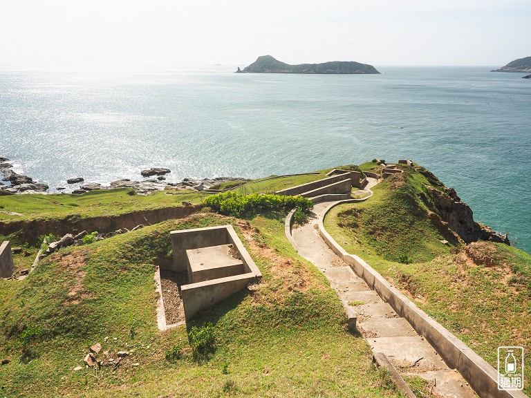 大坵島梅花鹿