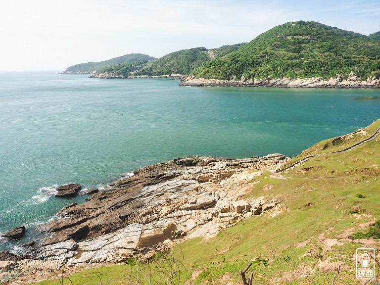 大坵島梅花鹿