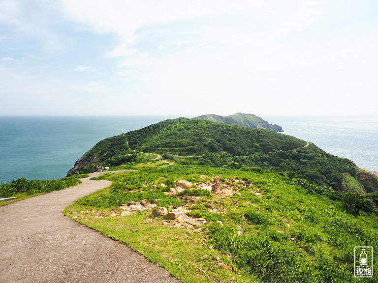 大坵島梅花鹿