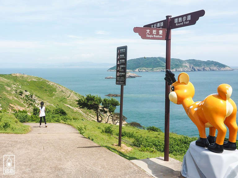 大坵島梅花鹿