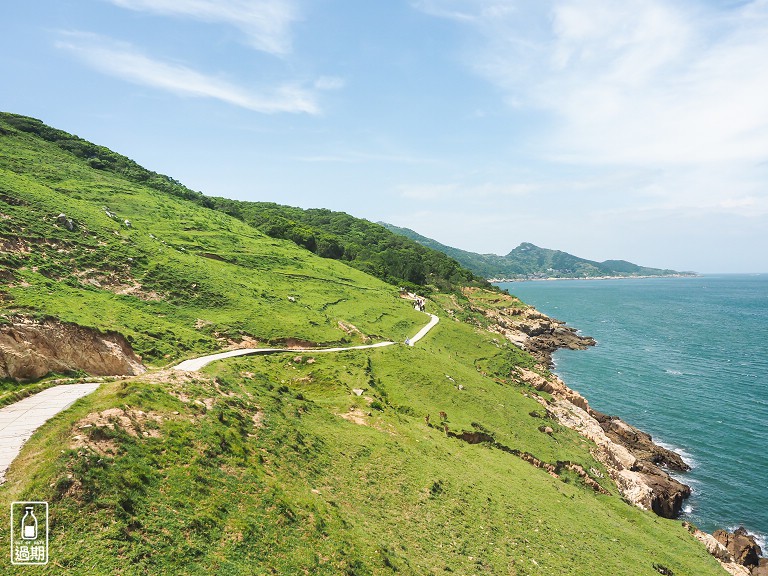 大坵島梅花鹿