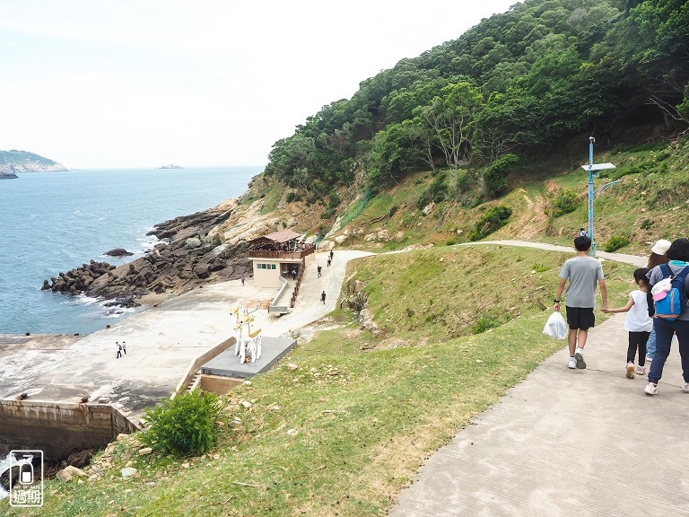 大坵島梅花鹿