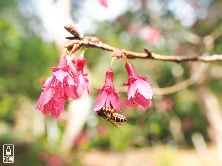 蓮華池研究中心