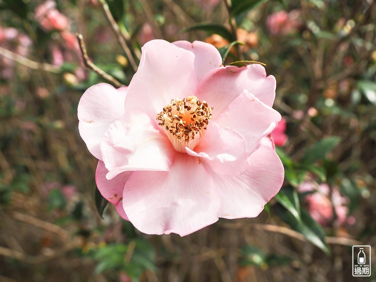 蓮華池研究中心