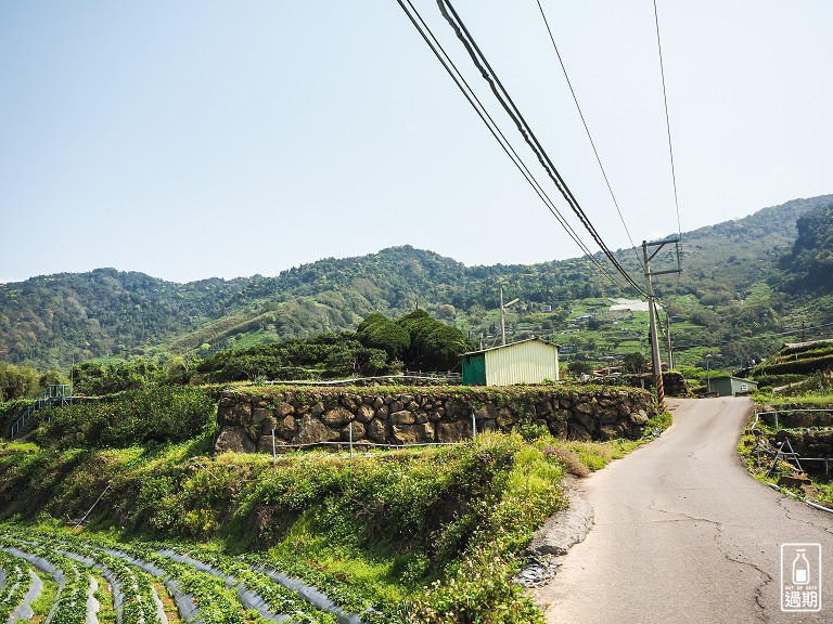 蜜境高山草莓園