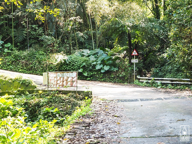 蜜境高山草莓園