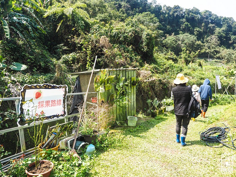 蜜境高山草莓園