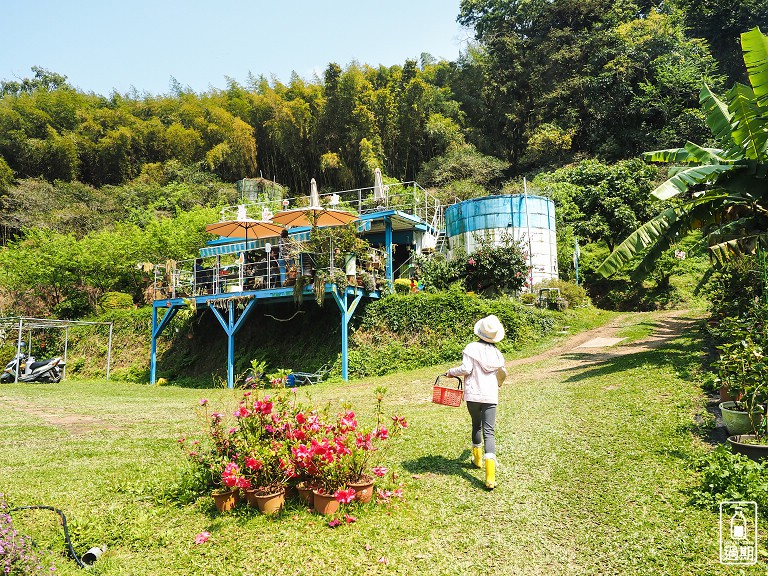 蜜境高山草莓園