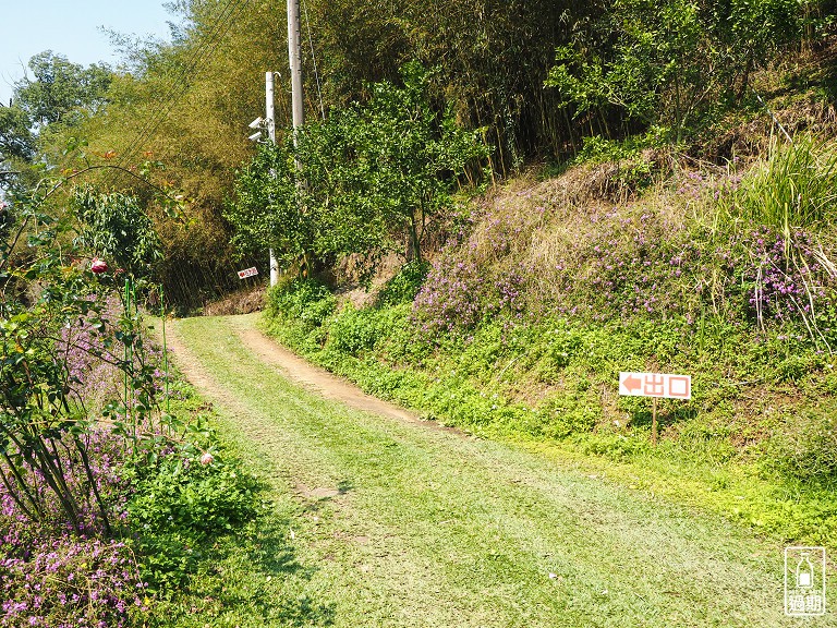 蜜境高山草莓園