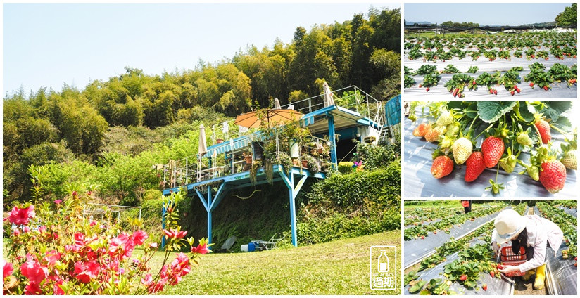 蜜境高山草莓園